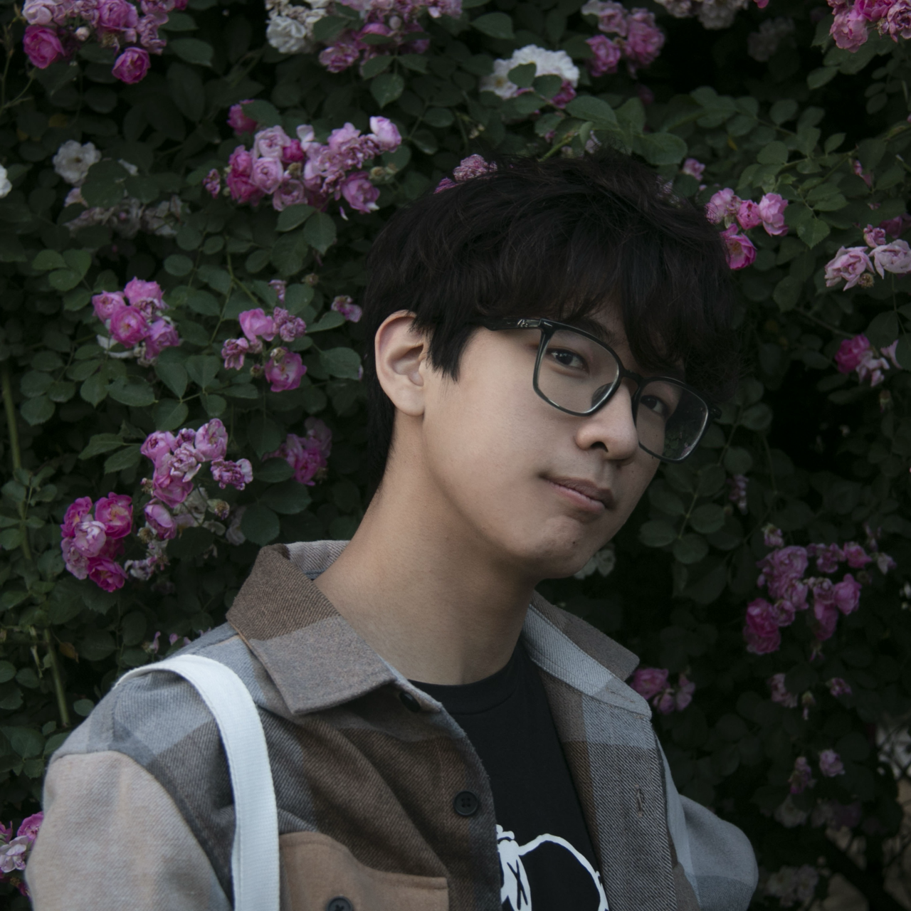Honglin Wang（王泓林）